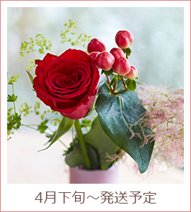 4月下旬～発送予定のお花イメージ