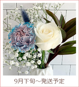 5月下旬～発送予定のお花イメージ