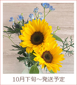6月下旬～発送予定のお花イメージ