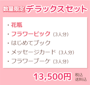 デラックスセット